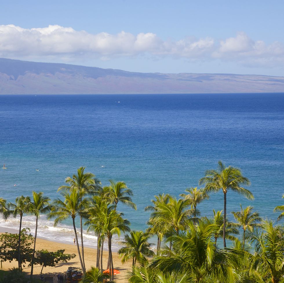 view from up high of beach, palms and blue hawaiian waters