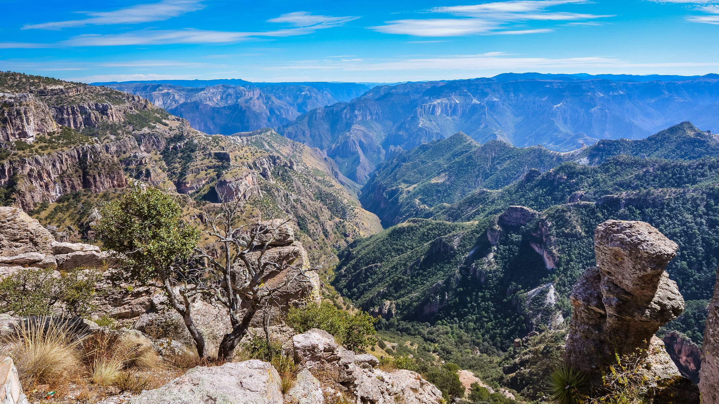 View in Copper Canyon