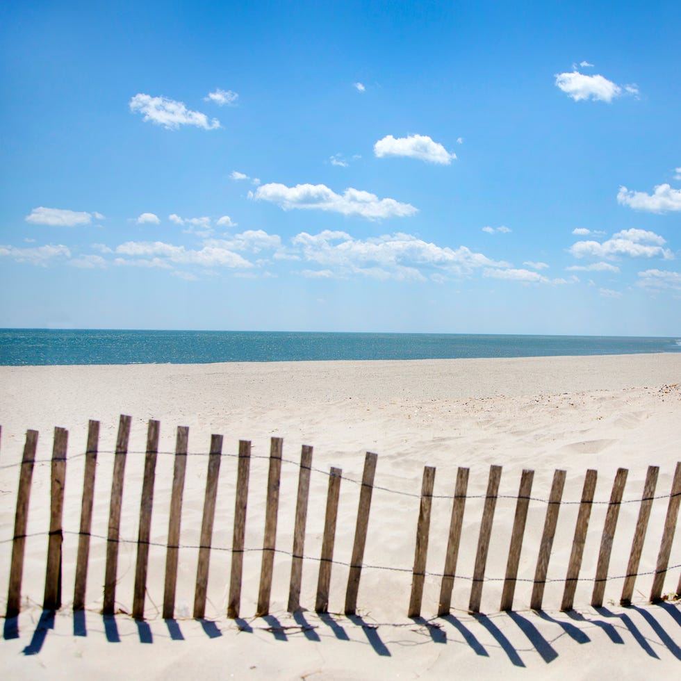 view of beach