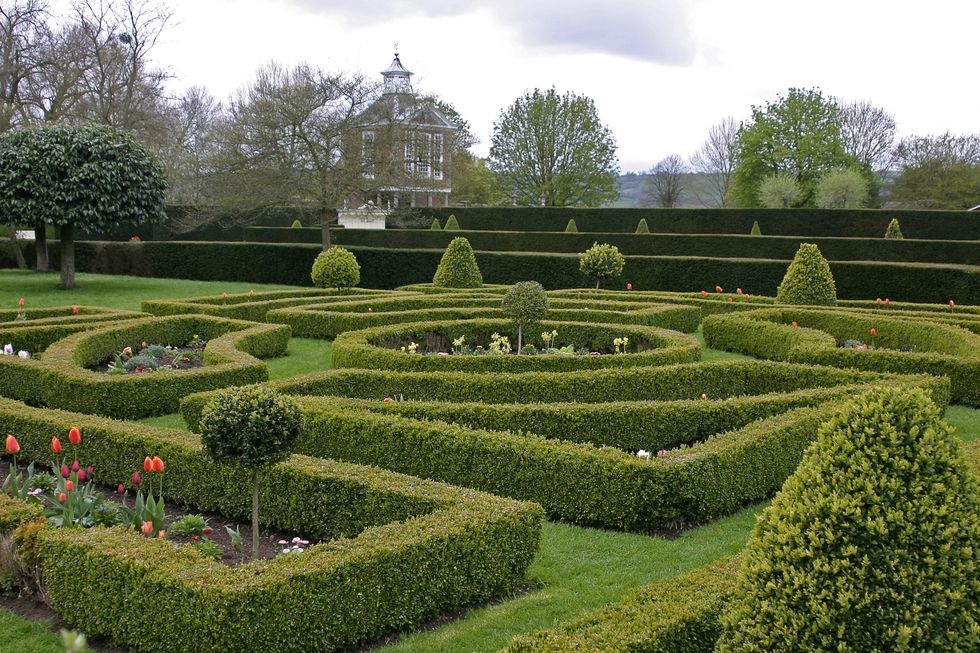 a view of hedges and topiary contained within the gardens of westbury court, gloucestershire. the garden at westbury court was created between 1697 and 1705 by maynard colchester i, co founder of the society for the propagation of christian knowledge. his 