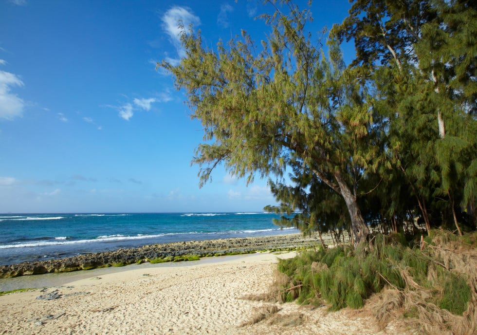 view of kawela paradise beach