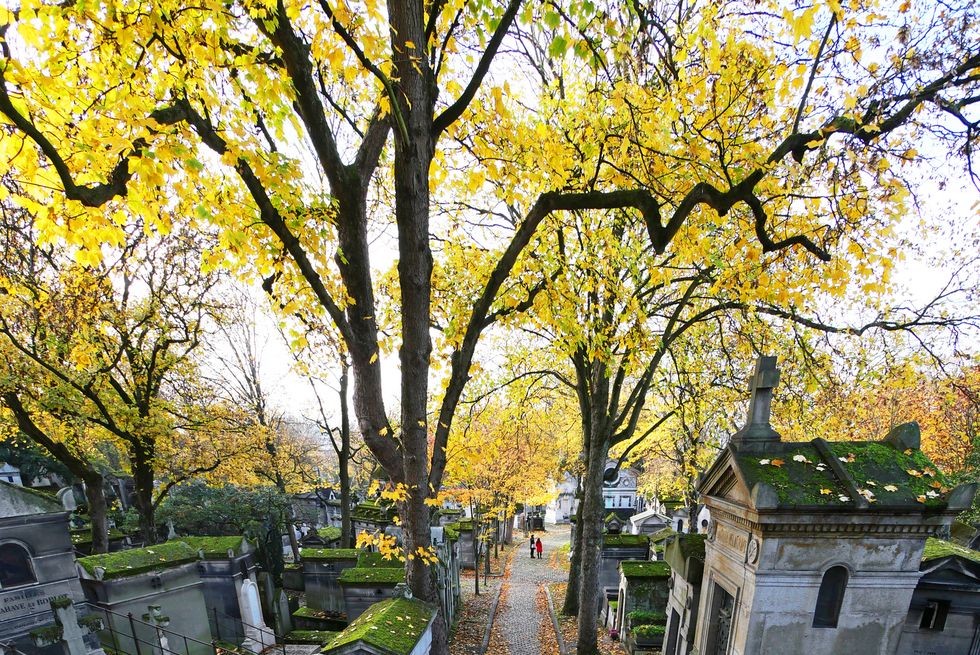 view of pere lachaise cemetery in autumn in paris