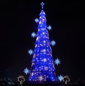BRAZIL-CHRISTMAS TREE