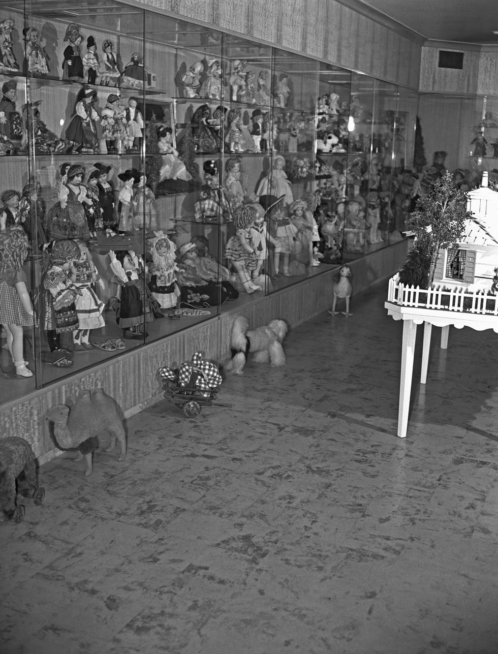 shirley temple doll collection
