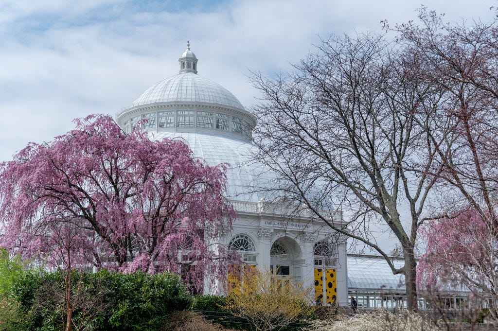 The Most Beautiful Greenhouses to Visit Across the Globe