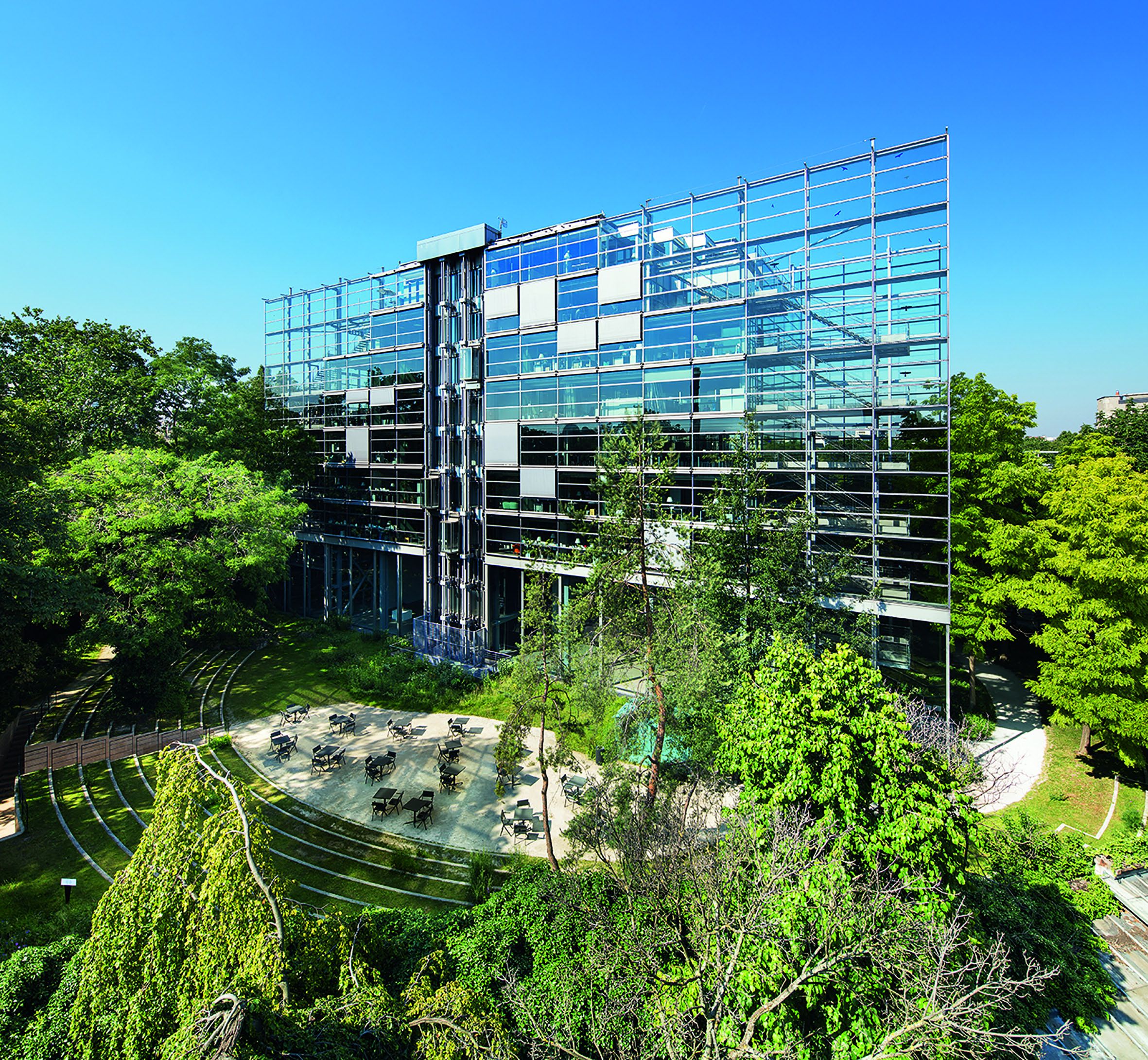 Trees Exhibition at the Fondation Cartier in Paris