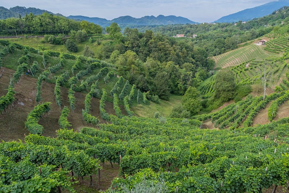 italy's prosecco hills received unesco heritage status