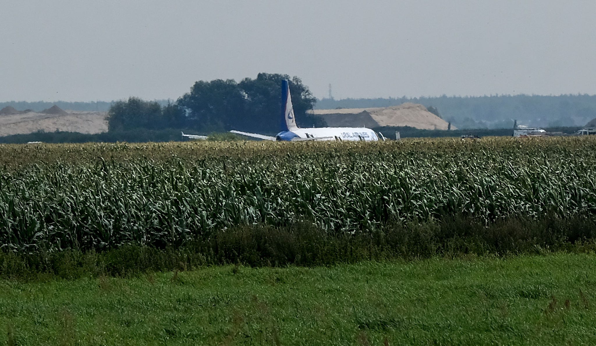 Посадки жуковский. A320 кукурузное поле. Аэробус 321 кукурузное поле. Жуковский аэропорт кукурузное поле. Посадка самолёта в кукурузном поле в Жуковском.