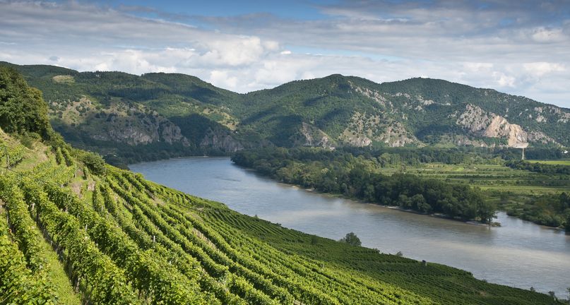 view to the famous danube valley photographed from "weissenkirchen an der wachau"  lower austria