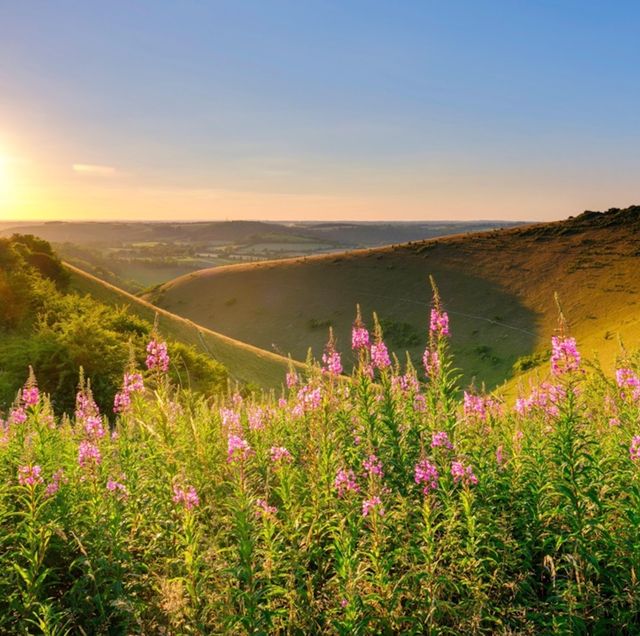 midsummer sunset over the meon valley from butser hill, south downs national park, uk