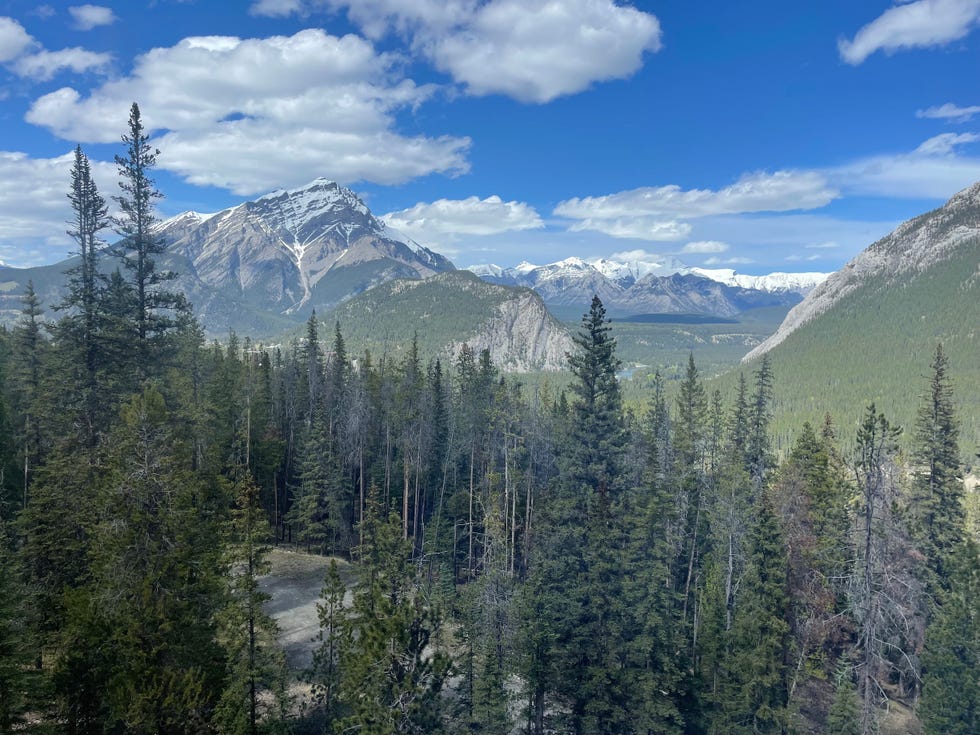 view from rimrock hotel