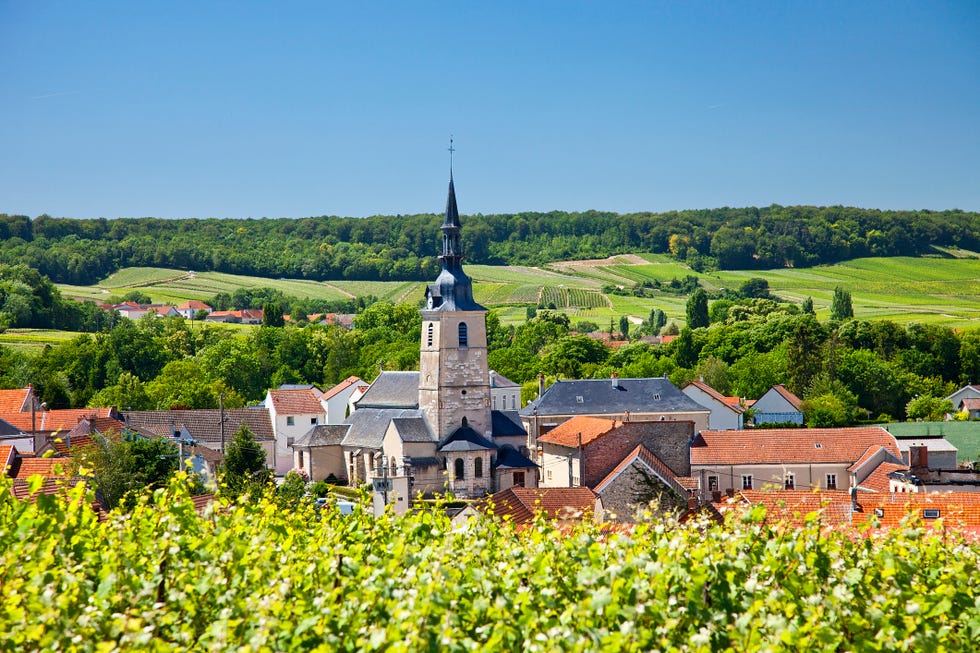 france, marne, sermiers, a village close to reims associated with champagne wine
