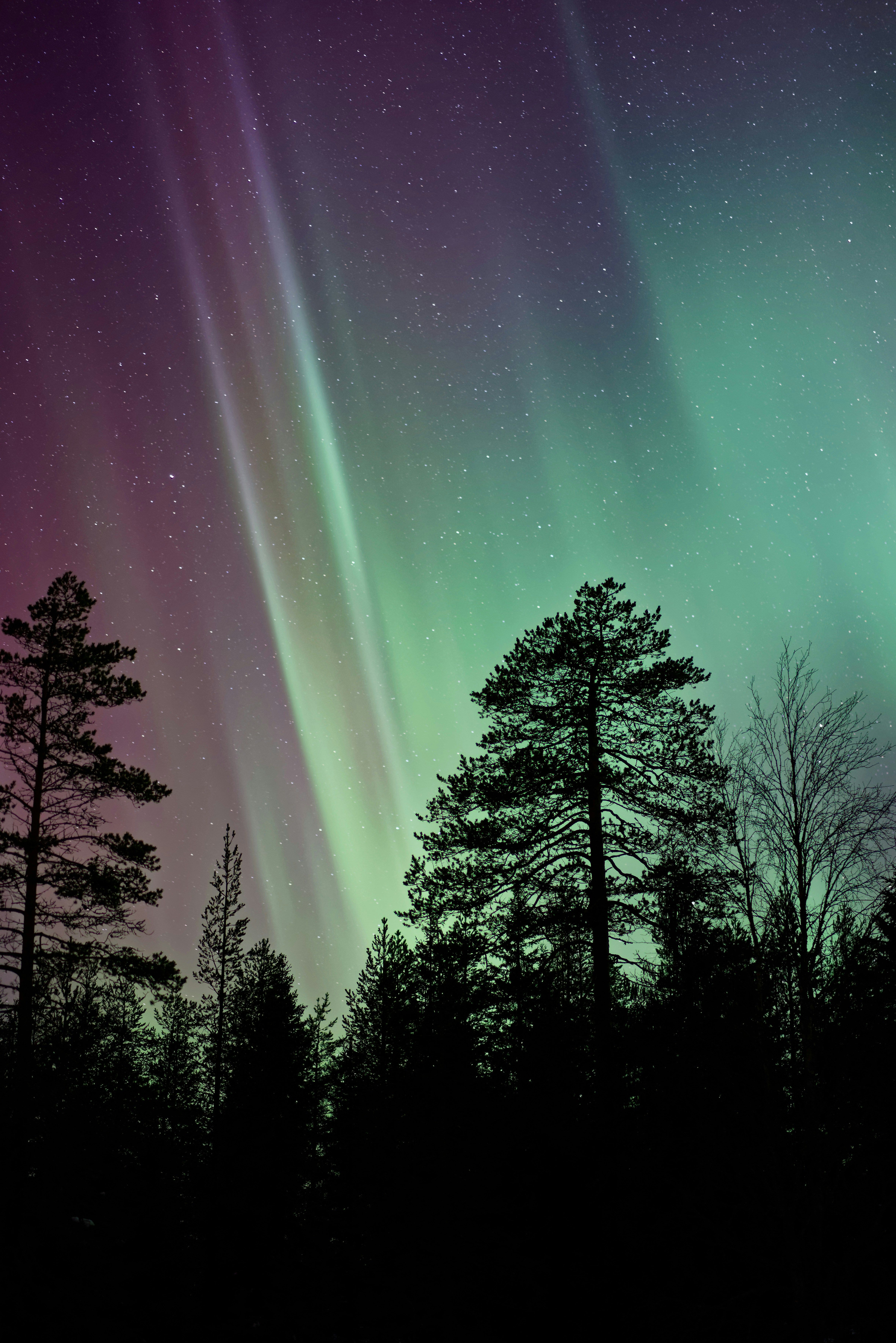 Dove è Più Facile Vedere L’aurora Boreale | Marie Claire