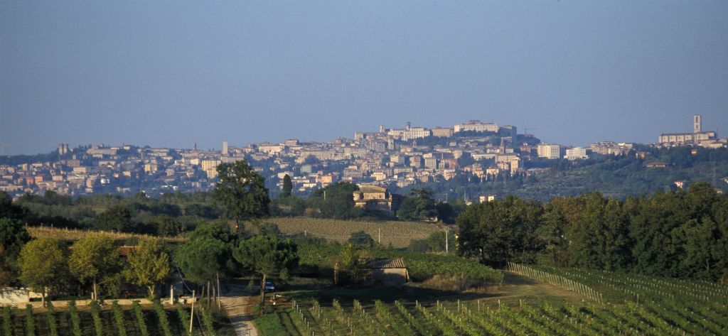 vineyard view from pila on the background perugia solomeo umbria italy