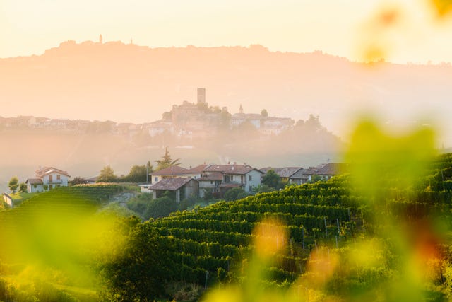 Cavatappi personalizzato Torri Cantine Store - Torri Cantine Store IT