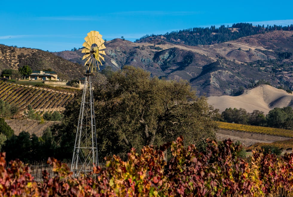 exploring santa barbara's wine country