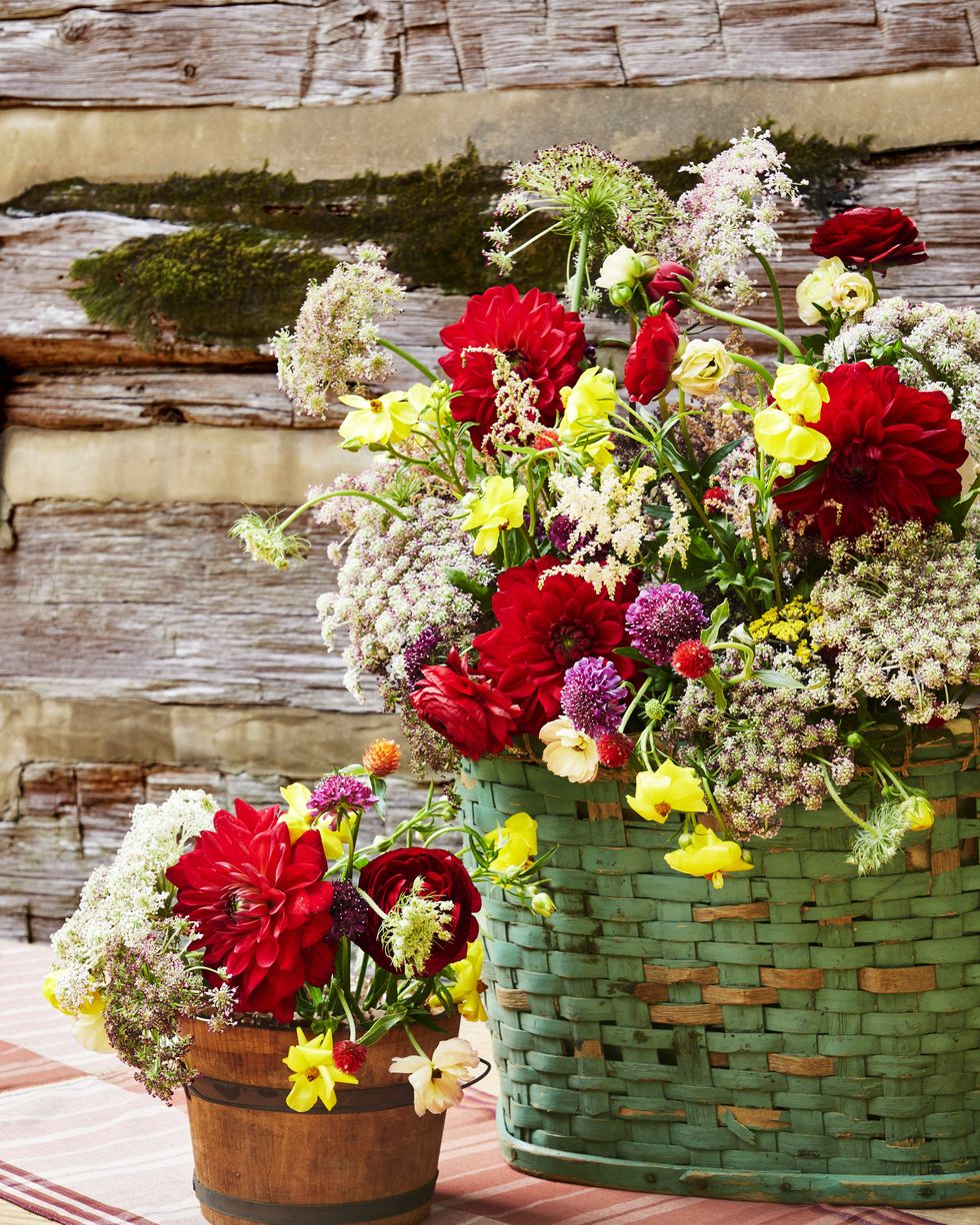 fall flowers ranunculus, dahlias, and queen anne’s lace nestled in baskets and a wood bucket