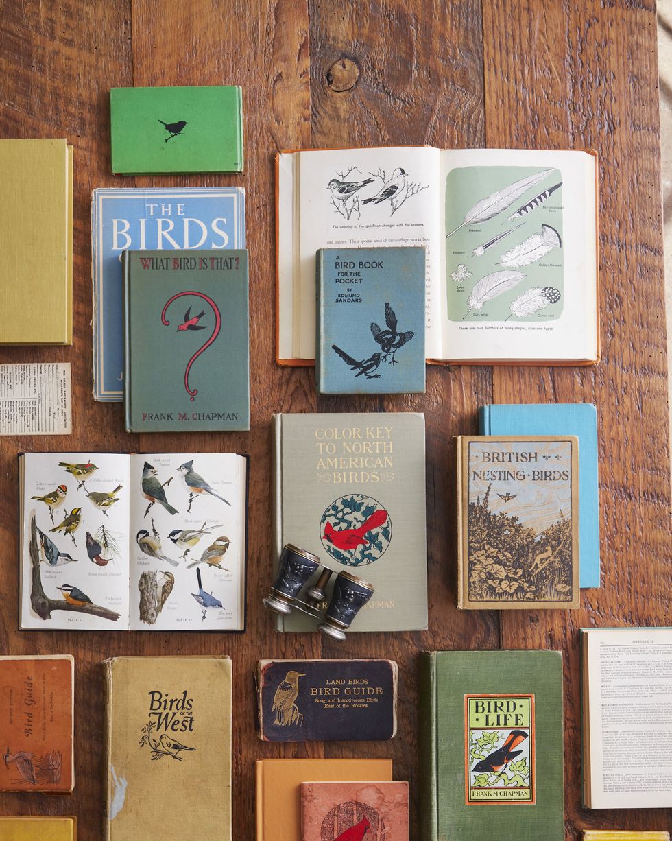 vintage books about birds and field guides