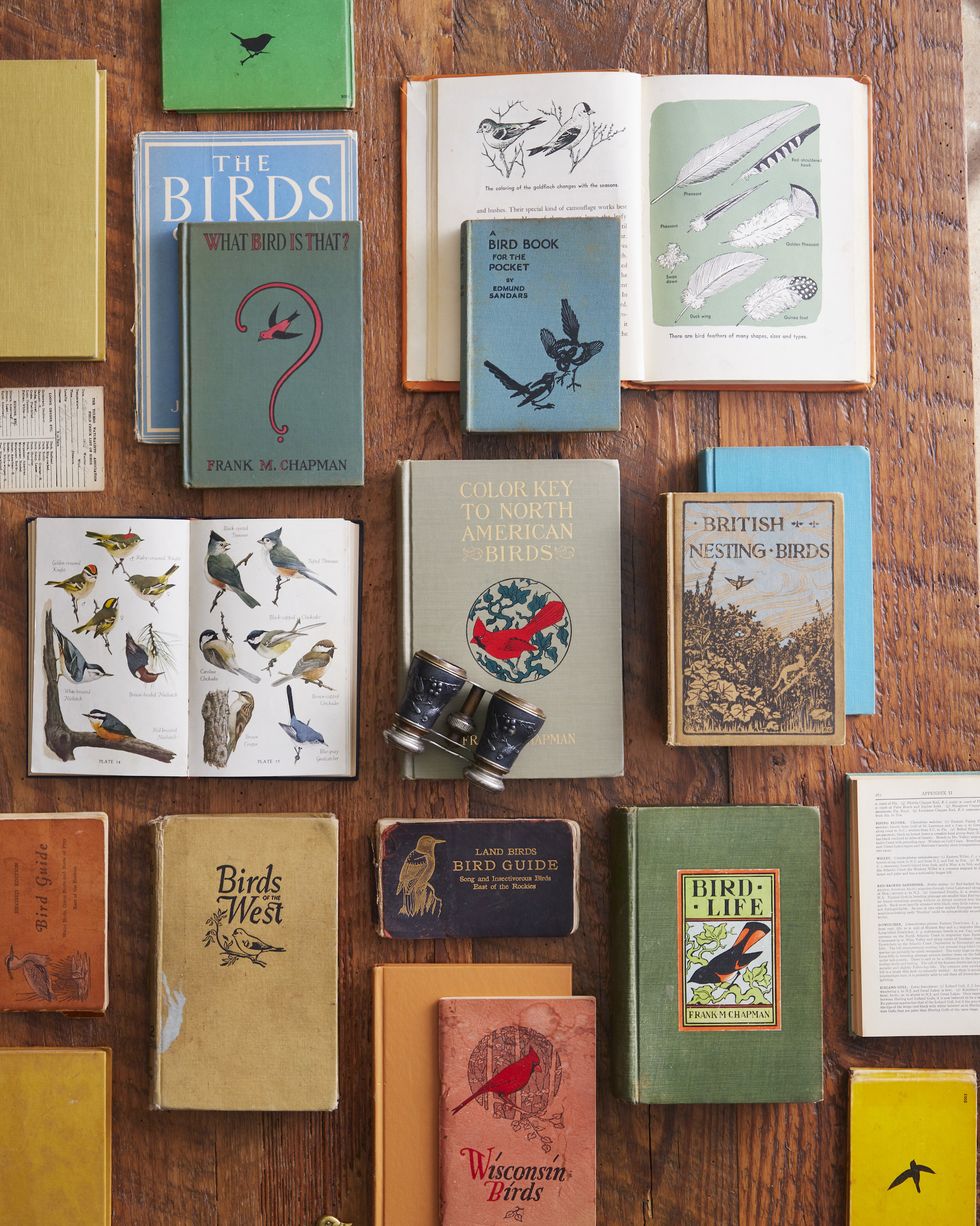 vintage books about birds and field guides