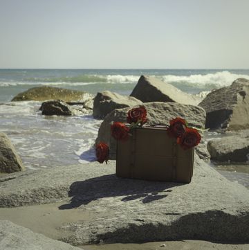 vintage suitcase with red roses on ocean rocks