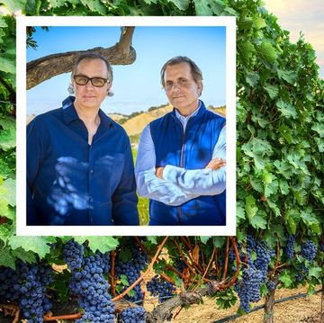 wine makers Daou brothers