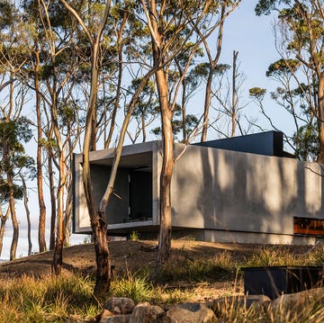 Casa Vipp en Tasmania casa vipp en tasmania con bosque alrededor