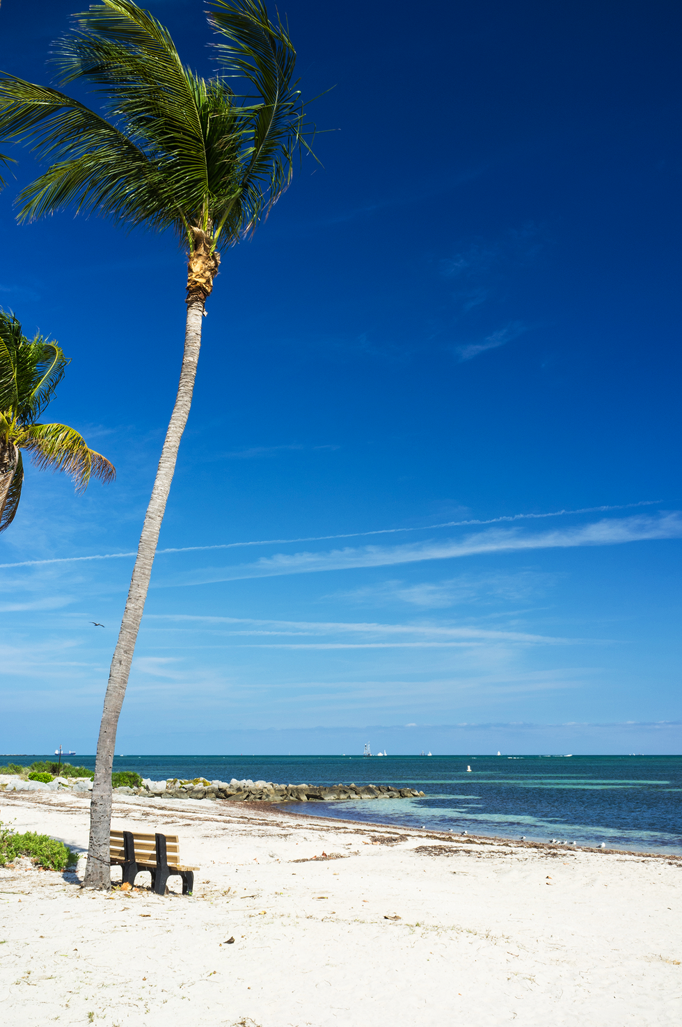 15 Best Beaches in Miami - Most Popular Beaches in Miami