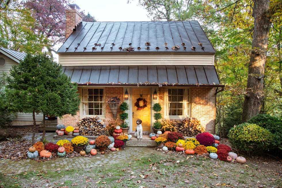 mountain cottage exterior filled with pumpkins and mums