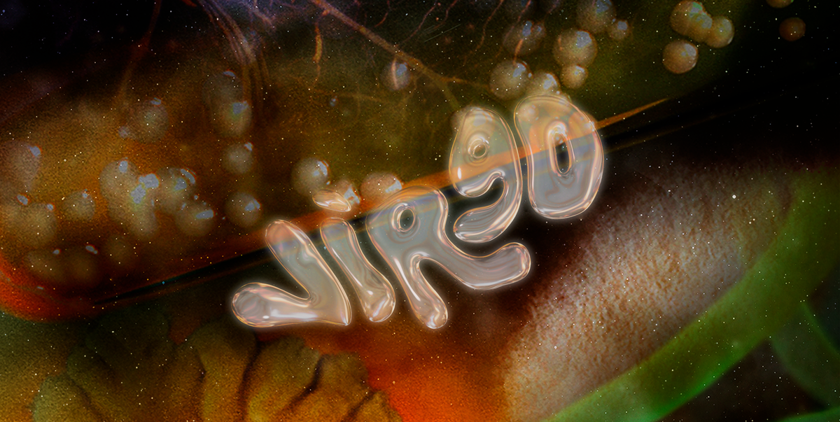 Virgo Monthly Horoscope for October 2023 Astrology Forecast