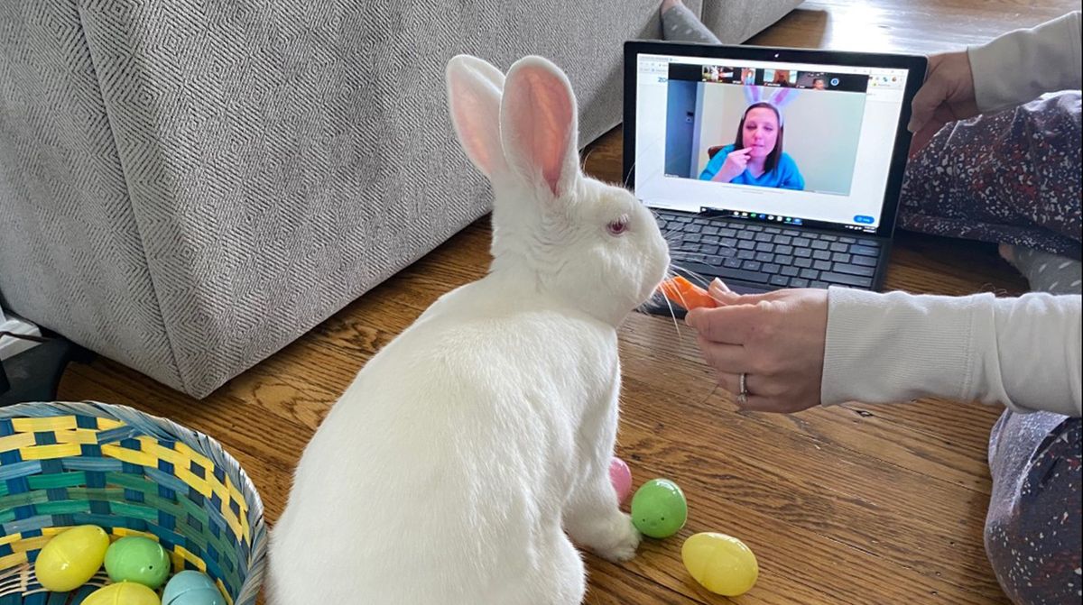 virtual-easter-bunny-meet-and-greet-for-kids-lead