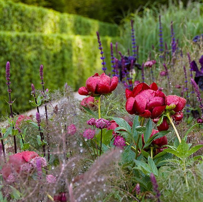 england's best virtual garden tours