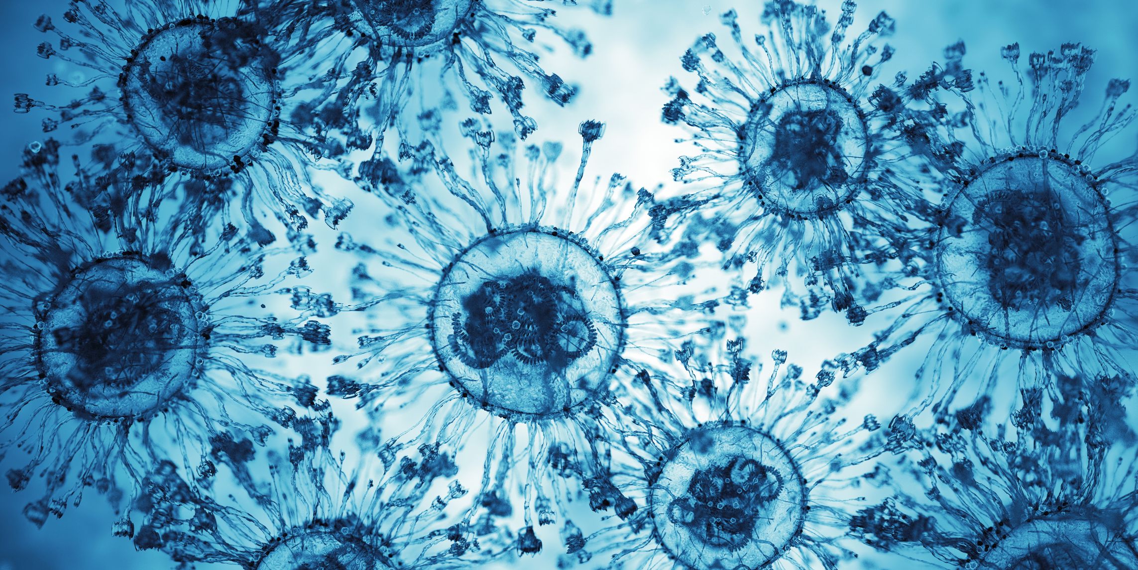 virus-disease-x-cells-microscope-slide-royalty-free-image-1740513241.pjpeg