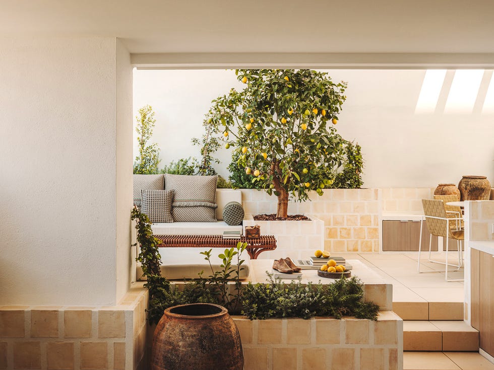 terraza valencia estilo rustico tres alturas