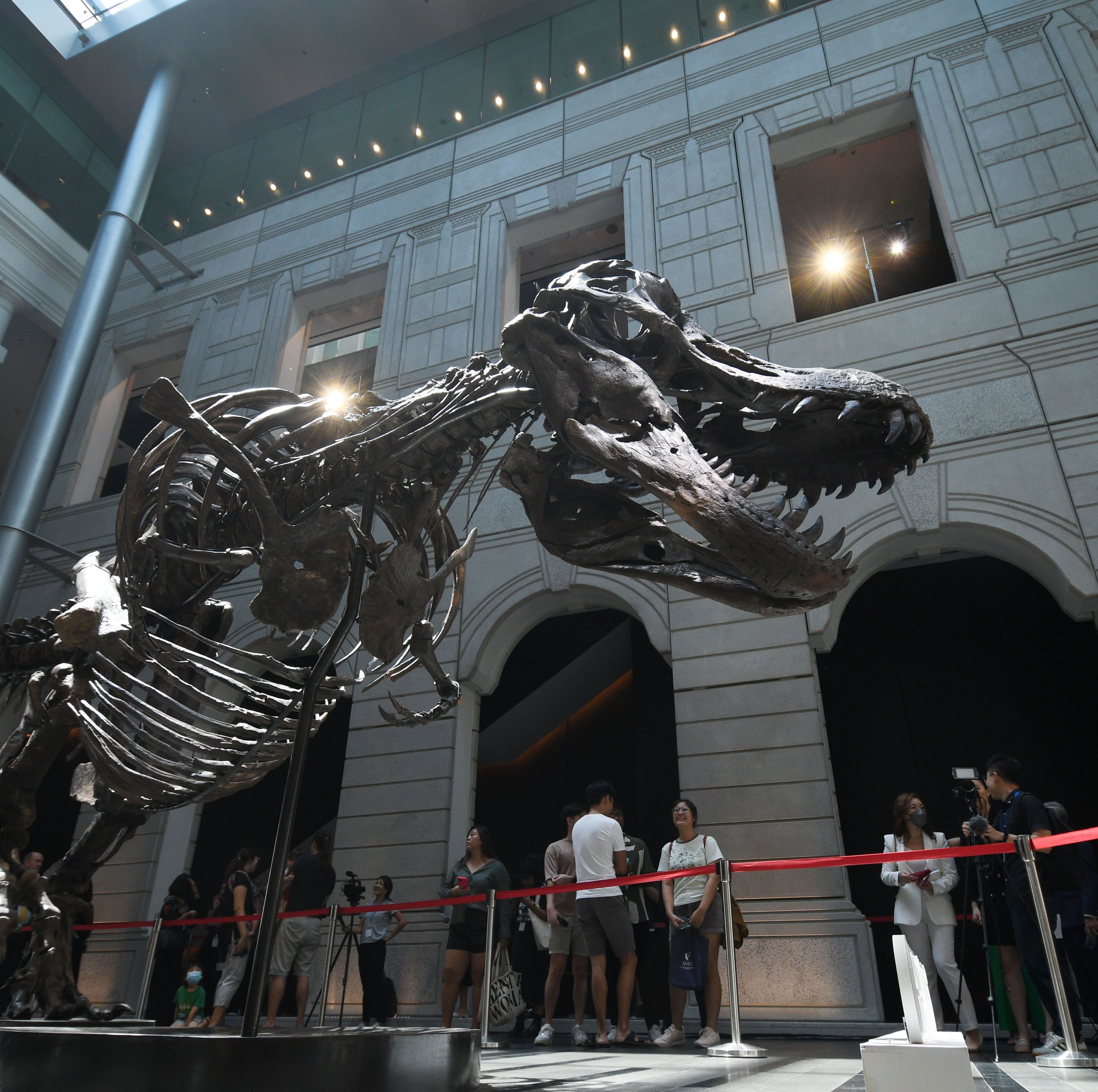 Shen the T. Rex Is Partly a Fraud, So Christie's Is Cancelling the Multimillion-Dollar Auction