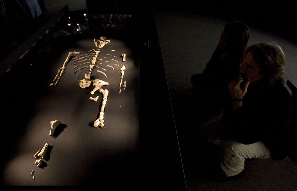 lucy exhibit to open in houston amid protests