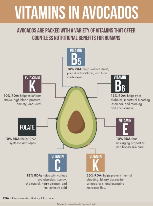 Avocado 101  Everything You Need To Know « Clean & Delicious