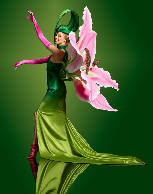 Green, Dancer, Performing arts, Plant, Illustration, Fictional character, Event, Flower, Dance, Concert dance, 
