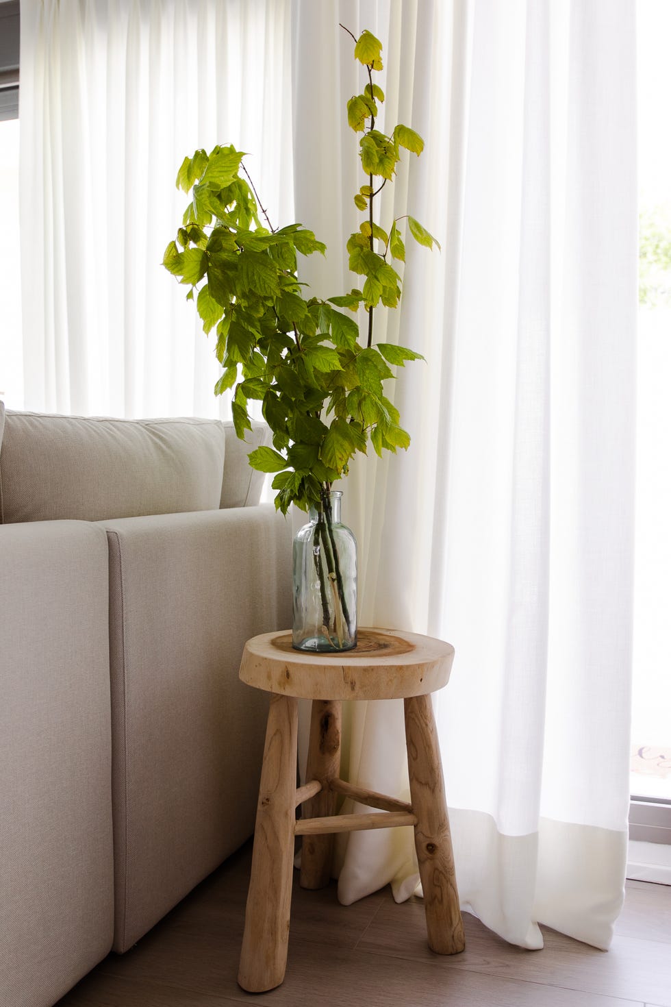 taburete de madera con planta