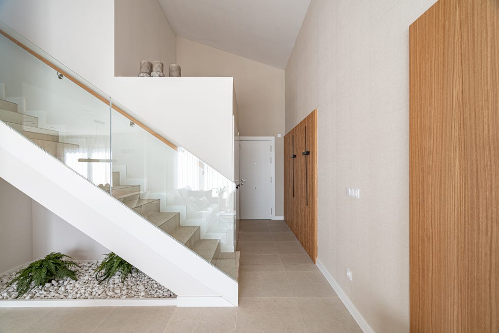 escalera con barandilla de cristal y helechos en el hueco