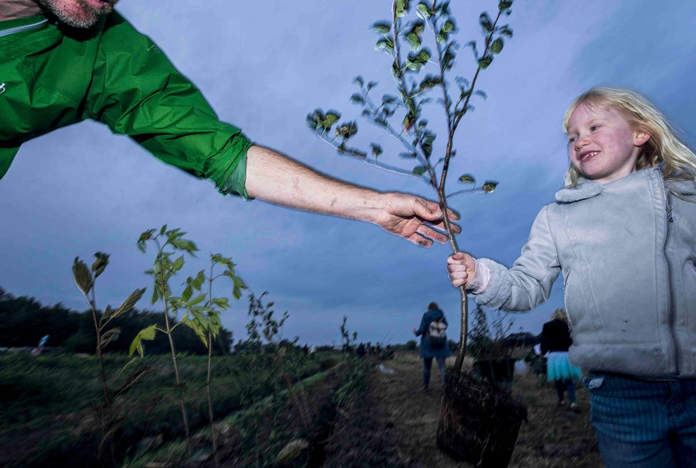 Onder begeleiding van haar moeder helpt Elin Feenstra 6 net als veel andere vrijwilligers mee om bomen aan te planten op het Natuurgoed Ziedewij in Barendrecht