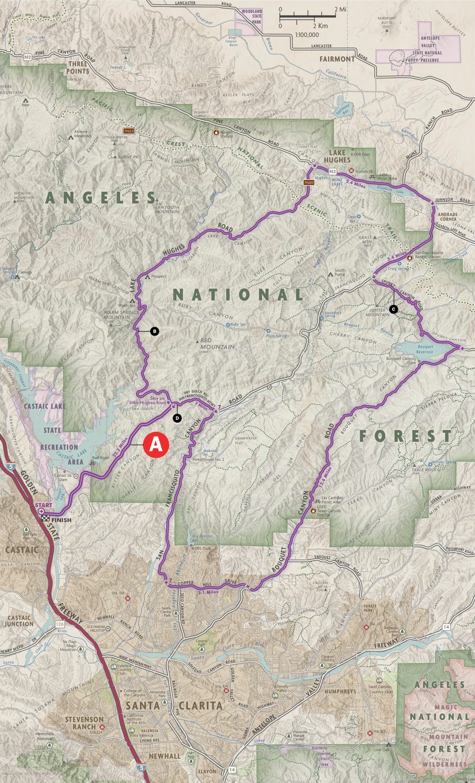 Driving Roads in Angeles National Forest