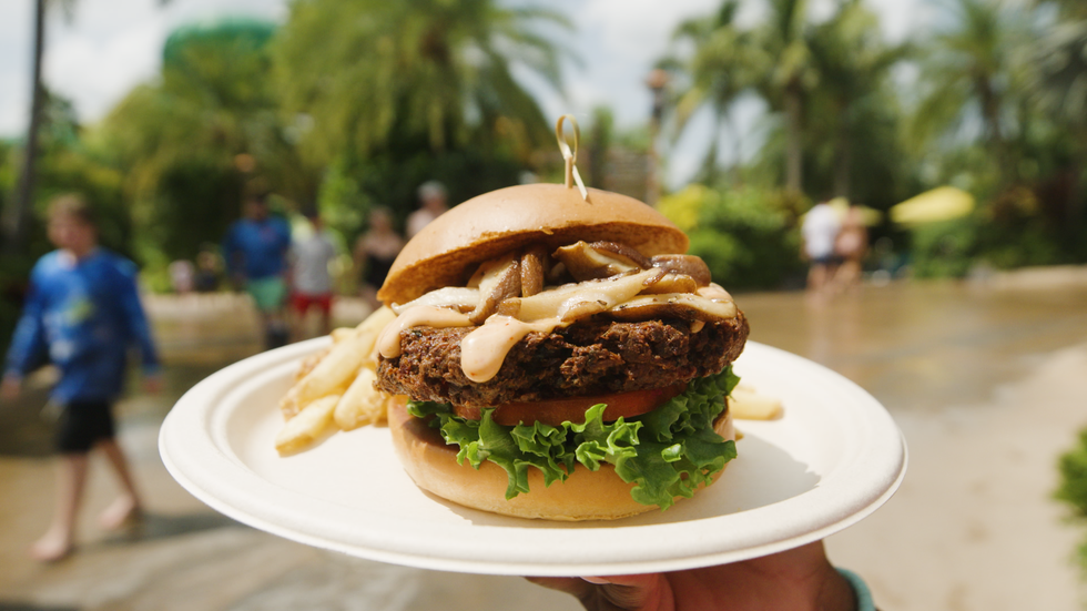 a hamburger on a plate