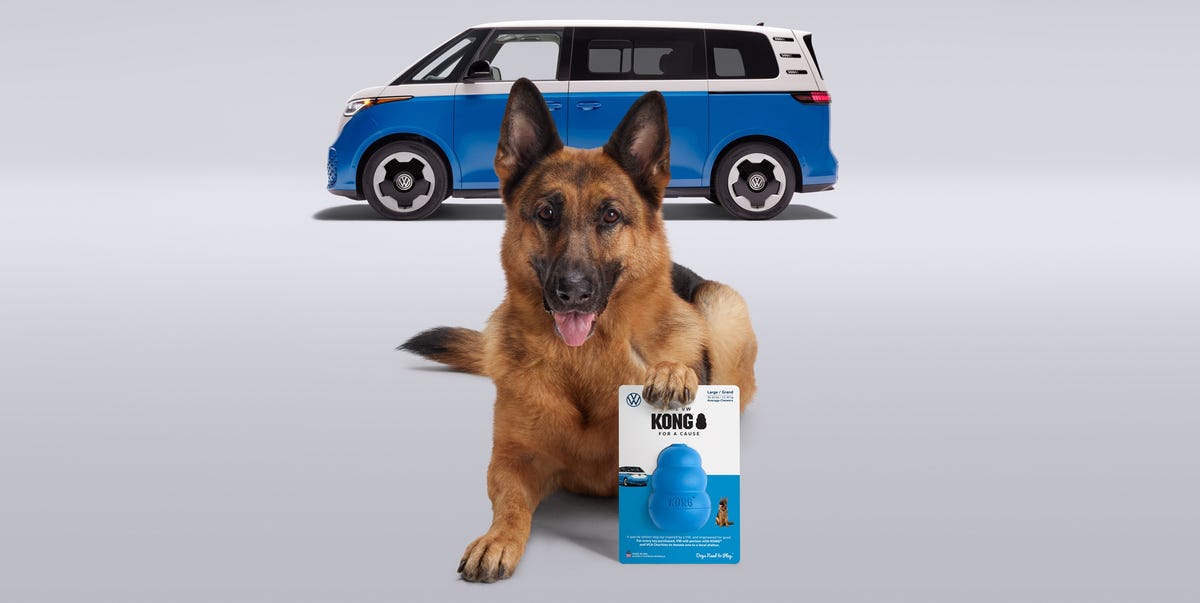 ¡De Pieza de VW a Juguete Peludo! La Historia Asombrosa Detrás del Nuevo Producto para Mascotas que Ayuda a los Más Necesitados