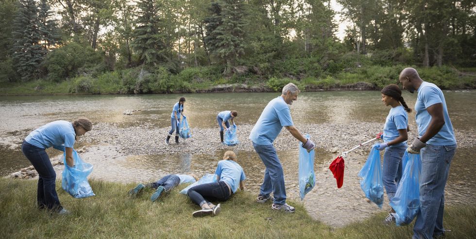 Voluntarios recogiendo basura en la margen de un río.