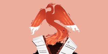 illustration of a red phoenix with blazing wings emerges from ashes and a cracked ballot box background is a pale pink