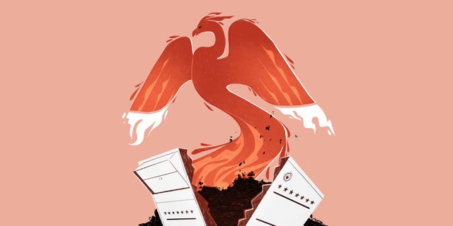 illustration of a red phoenix with blazing wings emerges from ashes and a cracked ballot box background is a pale pink