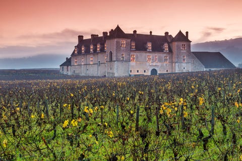 Bij een wijngaard wordt het Chteau du Clos de Vougeot omlijst door het fraaie landschap van het Franse Bourgondi