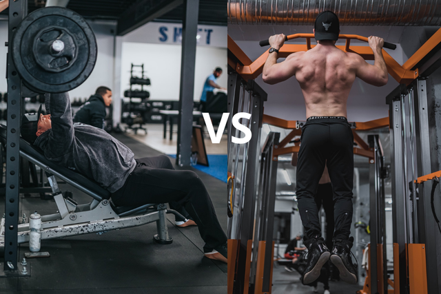 push vs pull quale workout è più efficace