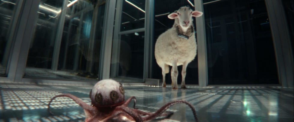 eyeball octopus in 'alien earth'