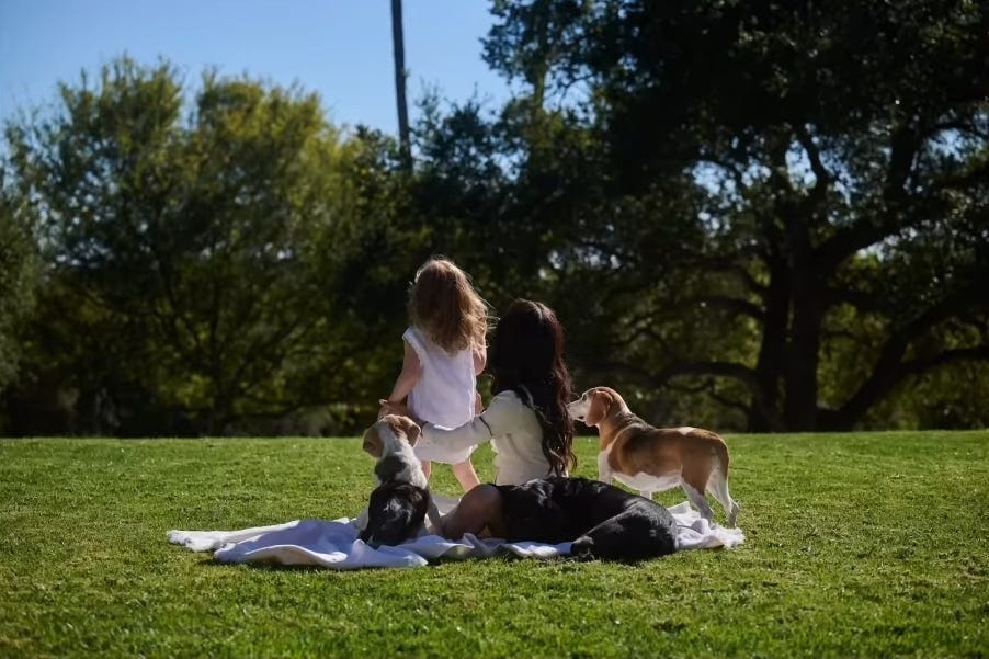a woman and a child sitting on grass with dogs enjoying a sunny day